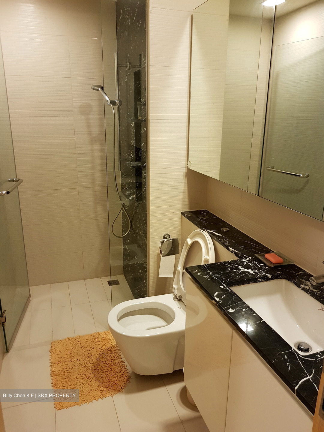 The Scala (D19), Apartment #437887141